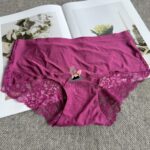 Seamless Lace Ice Silk Panty – Invisible & Breathable (Premium Nylon) - Image 2