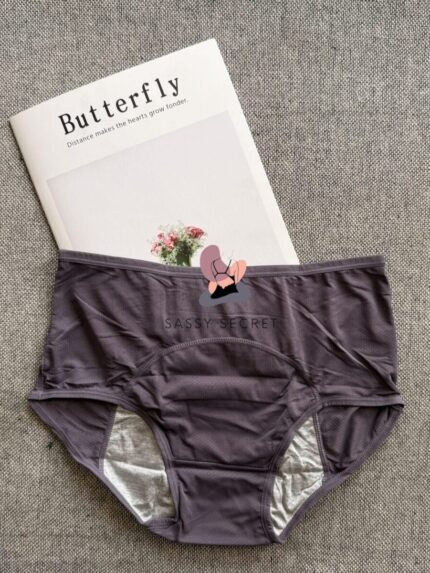 plus size leak proof period panties