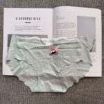 Seamless Ice Silk Panty with Heart Detail – Invisible Comfort (Imported) - Image 2