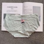 Seamless Ice Silk Panty with Heart Detail – Invisible Comfort (Imported) - Image 3