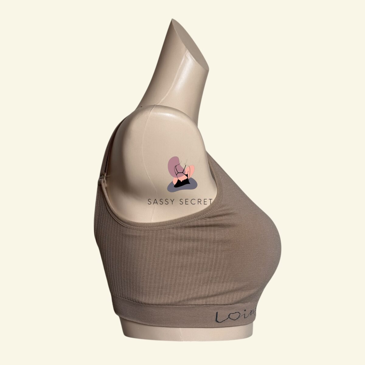 Light Padded Seamless Regular Wear Bra – Everyday V-Neck Comfort (Imported)