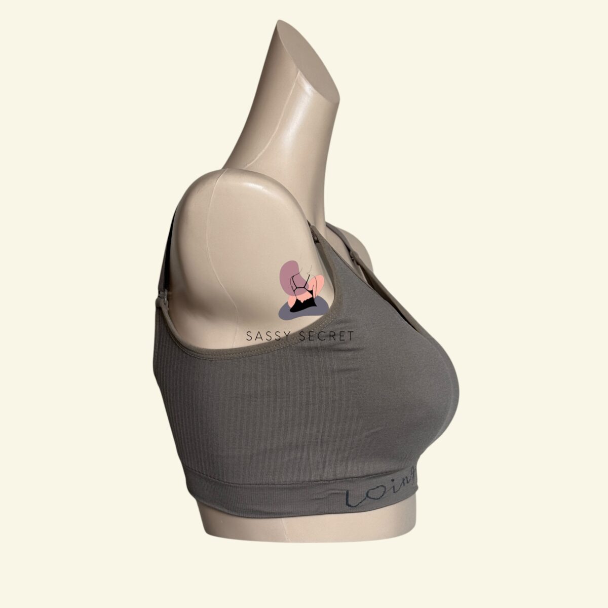 Light Padded Seamless Regular Wear Bra – Everyday V-Neck Comfort (Imported)